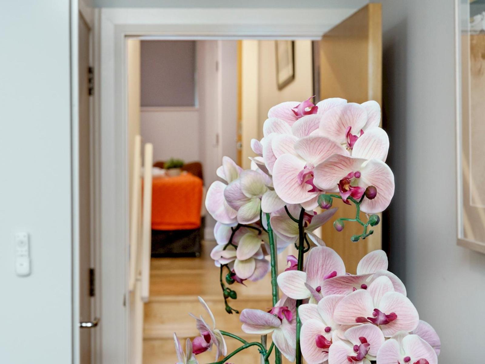 The Linen Mill Apartment Pass The Keys Белфаст Екстер'єр фото